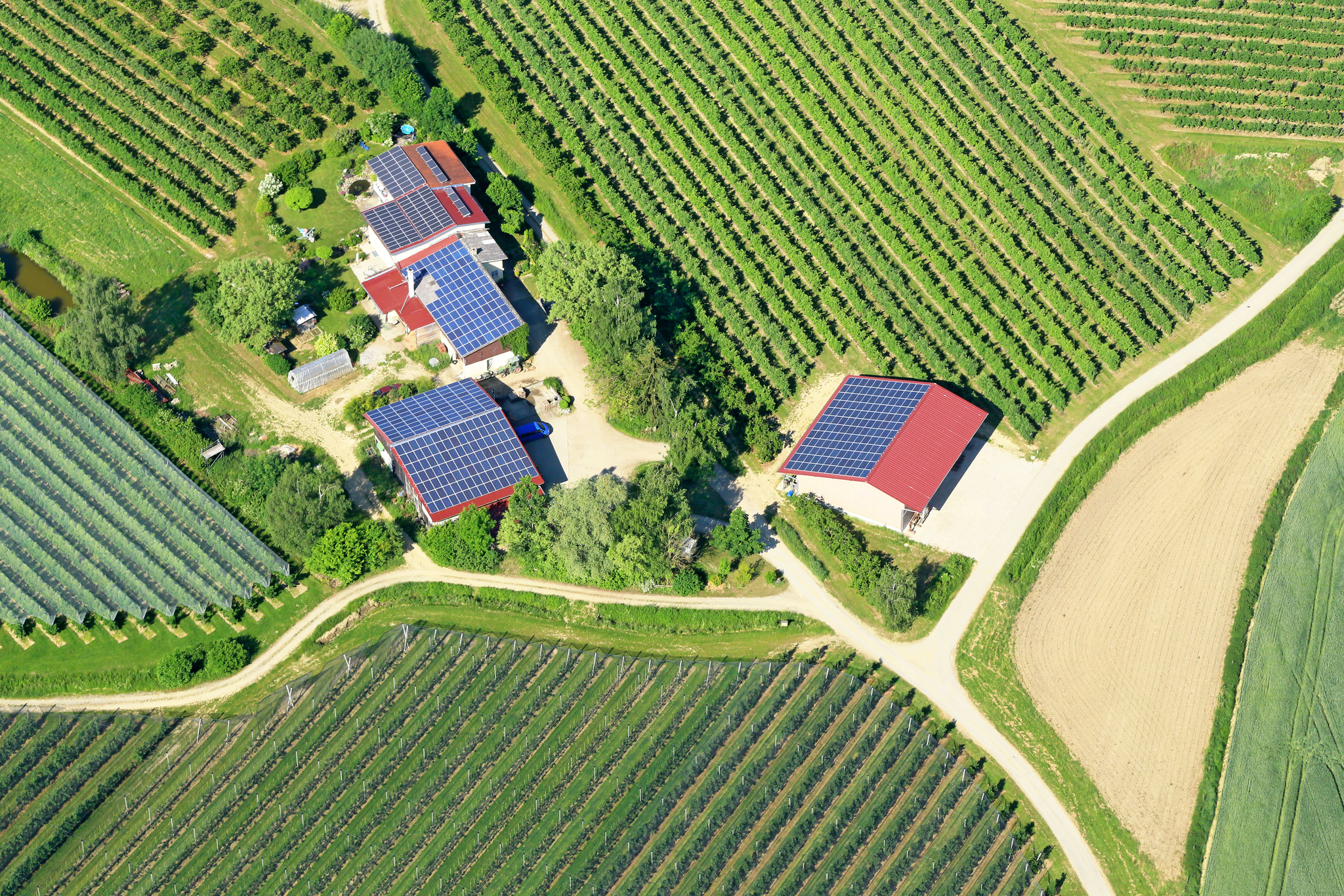 La energ&iacute;a renovable encaja bien con la agricultura.