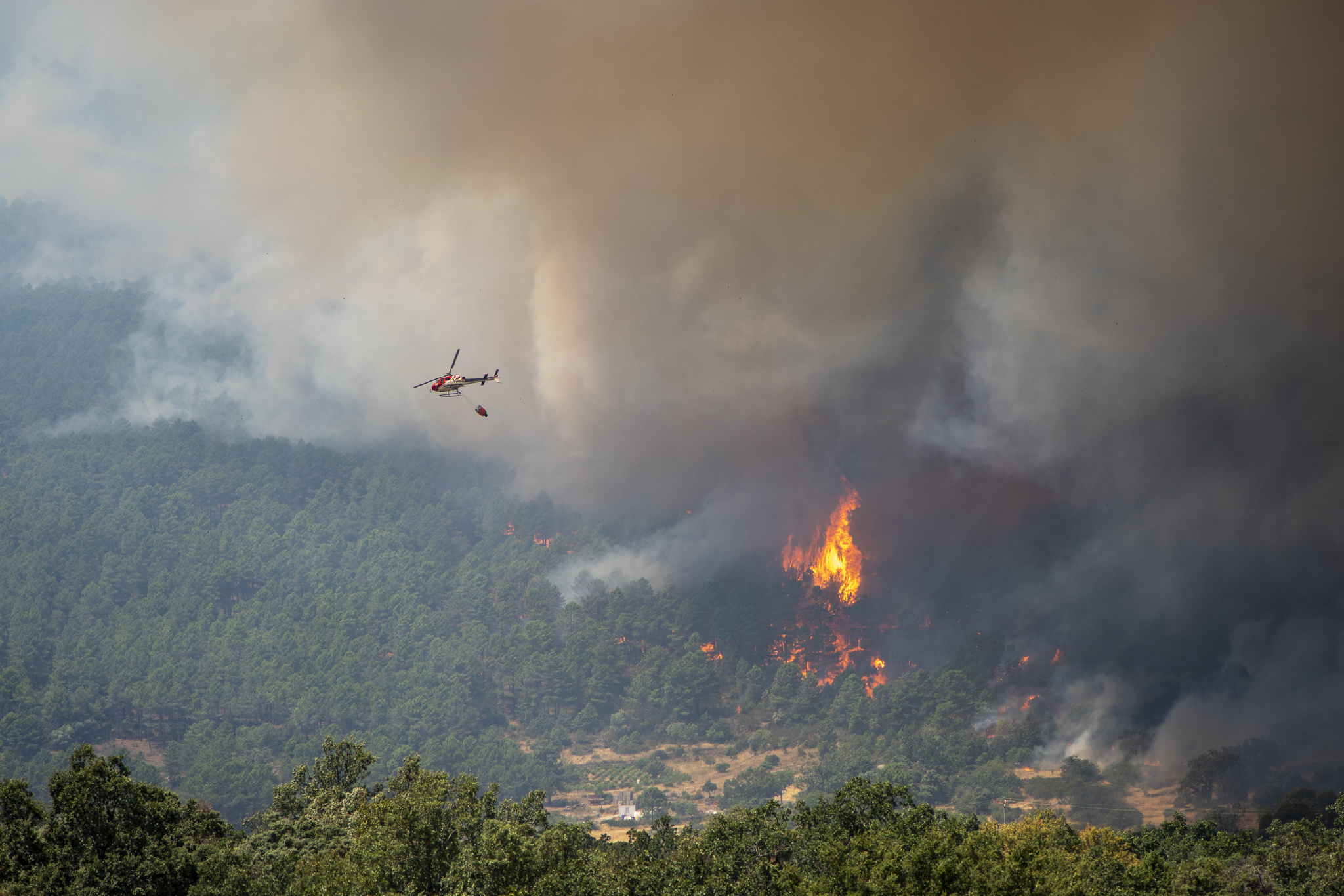 La UME asegura que el incendio entre Ávila y Madrid está contenido, aunque mantiene "cabezas activas"