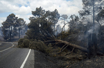 "Hemos entrado en la era de los incendios que no se pueden apagar"