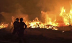 Los incendios forestales entran en un punto de inflexión