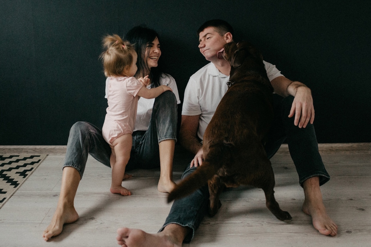 El 52% de las familias españolas convive ya con un animal de compañía y, lo más revelador, lo consideran un miembro más de la familia. Andalucía encabeza el mapa con cerca de 3,3 millones de animales registrados, la mayor población de compañía de toda España.
