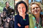 Expansión GreenWorld, el evento de la sostenibilidad