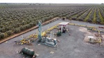 Los proyectos de hidrógeno en España caen desde casi 400 a 312 en un año